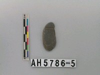 藏品(兩縊型石網墜)的圖片